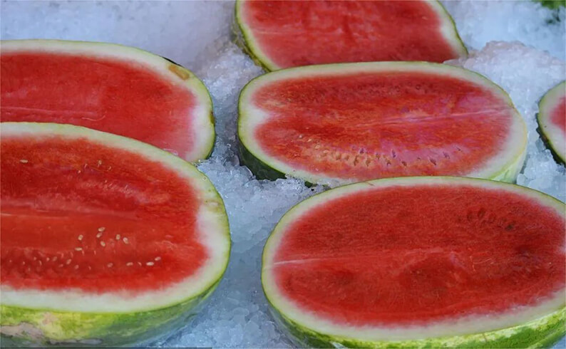 aplica&ccedil;&otilde;es de gelo em flocos