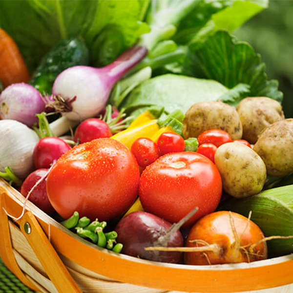 Armazenamento e preservação eficiente de produtos agrícolas com máquinas industriais de fabricação de gelo Icemedal