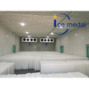 Icemedal IMB10 10 toneladas máquina de bloco de gelo escultura fabricante de máquina de bloco de gelo para peixes