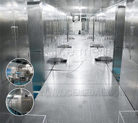 Linha de produção de 100 toneladas de copos de gelo na China