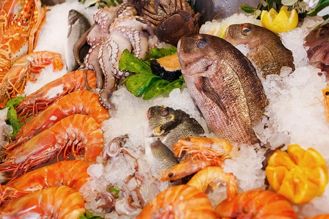 Máquinas de gelo pesqueiro promovem o desenvolvimento da indústria de frutos do mar