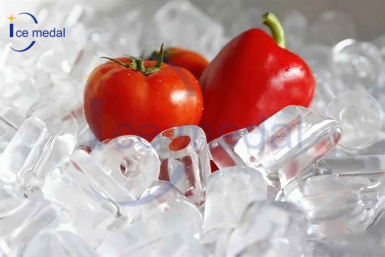 tubo de gelo para processamento de alimentos 