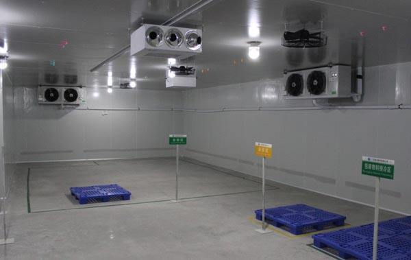 Como melhorar efetivamente a refrigeração de câmaras frigoríficas?