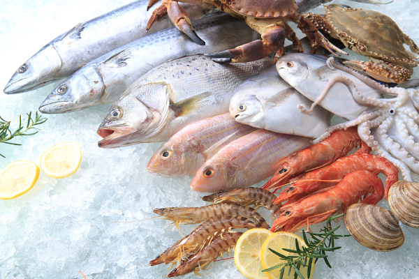 Flke Ice para produtos aquáticos