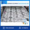 Linha de produção automática completa de gelo em cubo com sistema de embalagem para fábrica de gelo