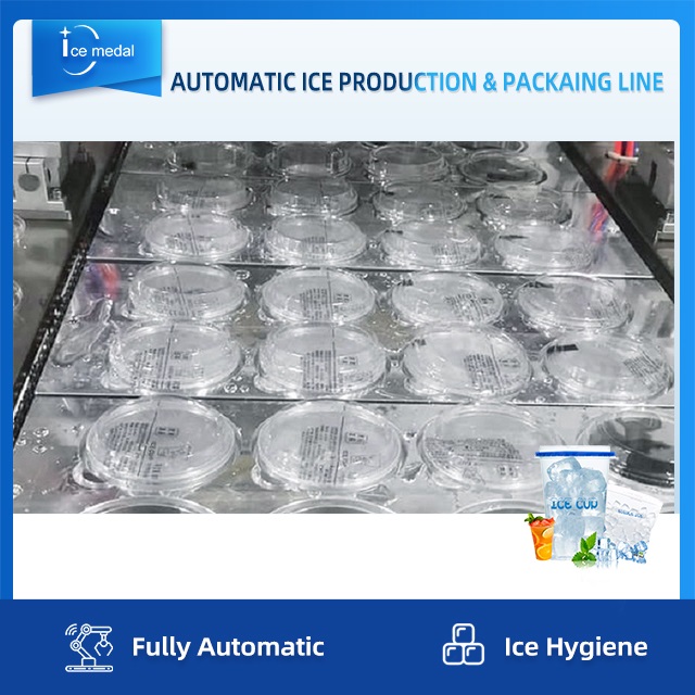 Linha de produção automática completa de gelo em cubo com sistema de embalagem para fábrica de gelo