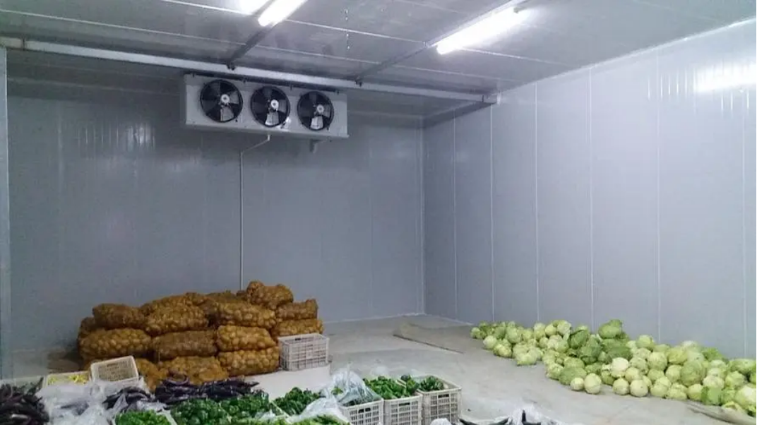 O que devo fazer se estes problemas ocorrerem na câmara frigorífica?
