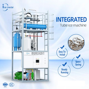 Máquina de fabricação de gelo de tubo de grande capacidade personalizada 10-30 toneladas Filipinas para fábrica de gelo