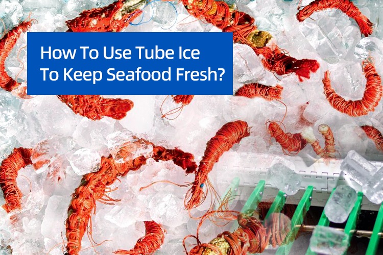 Como usar o gelo do tubo para manter frutos do mar frescos?