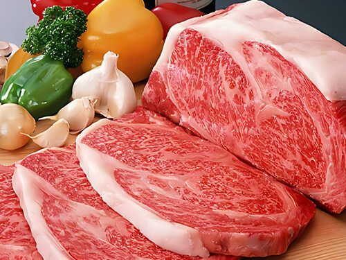 bloco de gelo para congelamento de carnes e aves