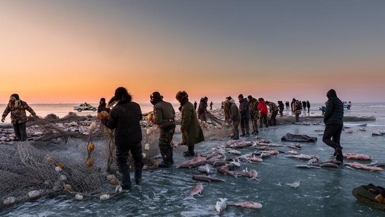 máquina de gelo em flocos para pesca