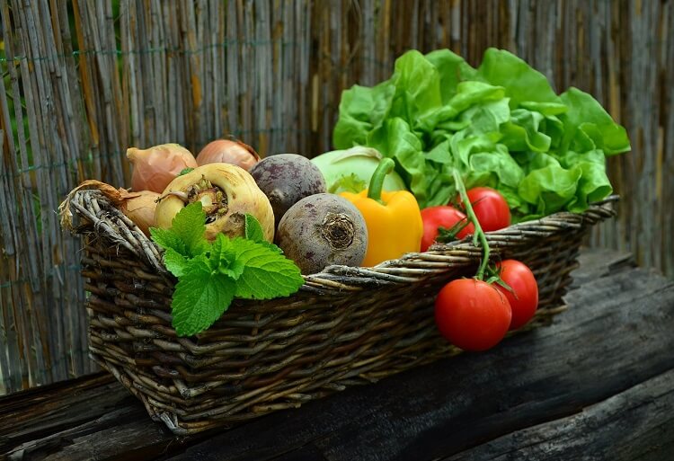 tubo de gelo para preservação de alimentos