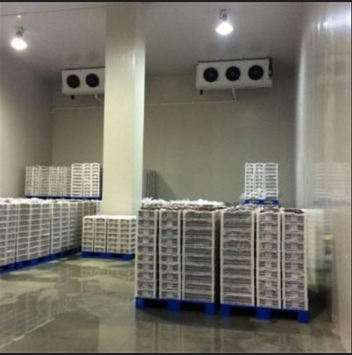 armazenamento refrigerado de copo de gelo