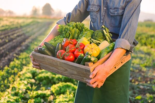 Floca de gelo para vegetais de manutenção fresca
