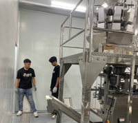 Icemedal 10 toneladas de capacidade diária grande cubo comestível planta de gelo caso do cliente