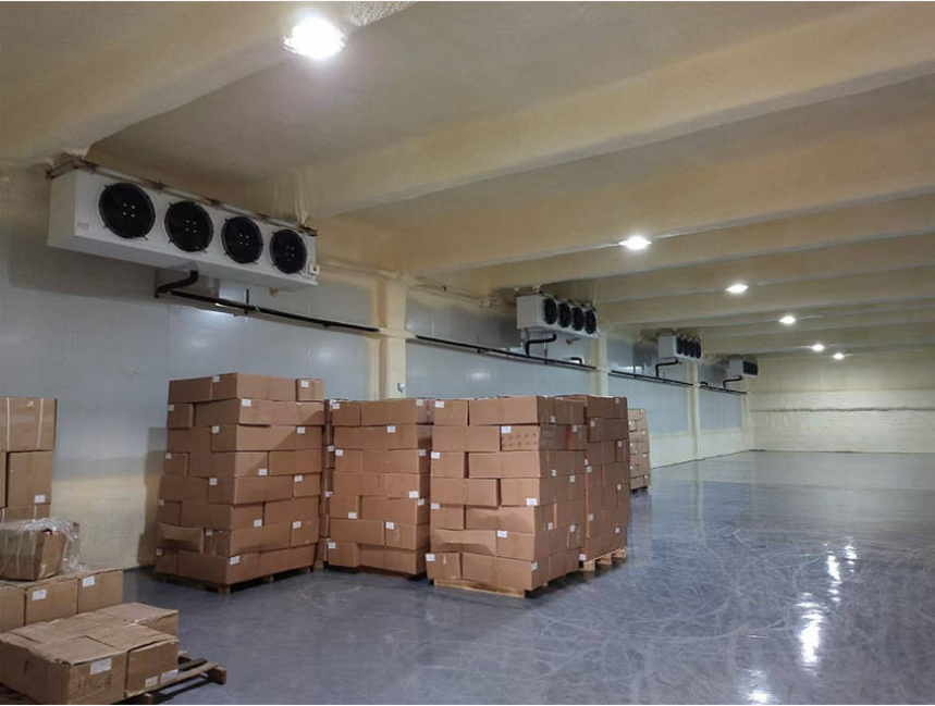 Armazenamento fresco, armazenamento refrigerado, sala de congelamento e freezer rápido