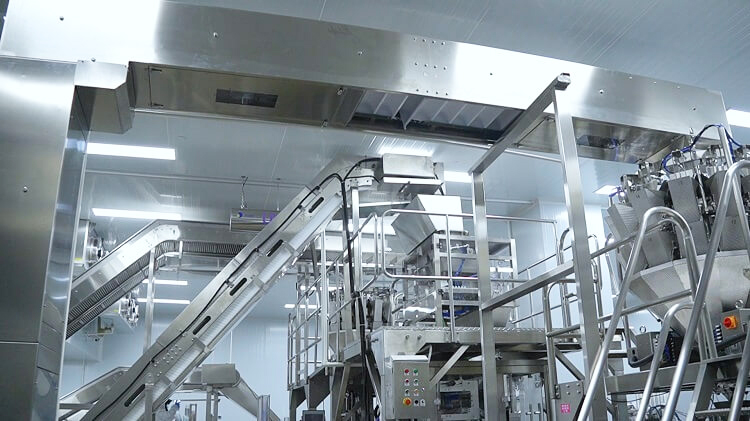 Transportador de gelo Icemedal e sistema de embalagem na f&aacute;brica de gelo